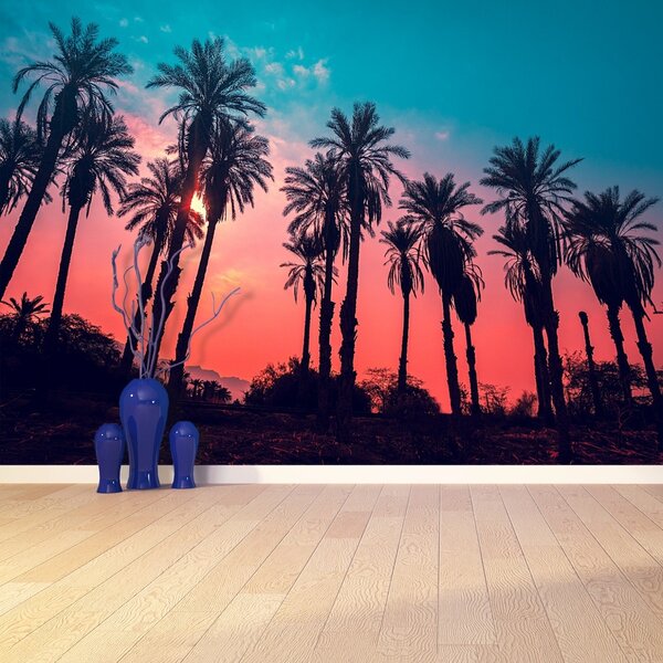 Fototapet Tropical Palm Copaci