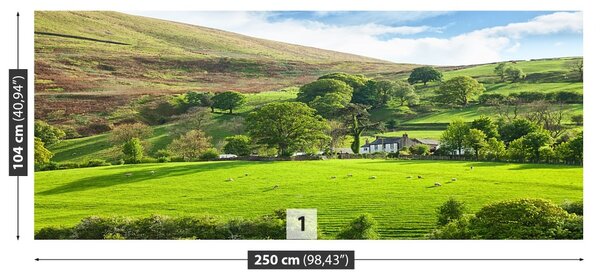 Fototapet Spring Cumbria