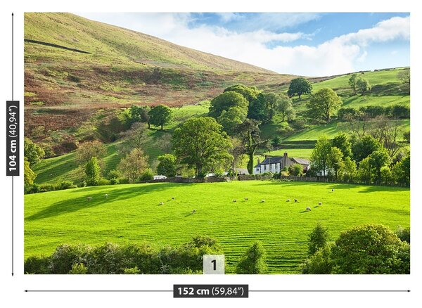 Fototapet Spring Cumbria