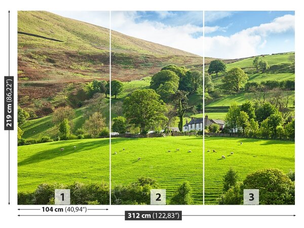 Fototapet Spring Cumbria