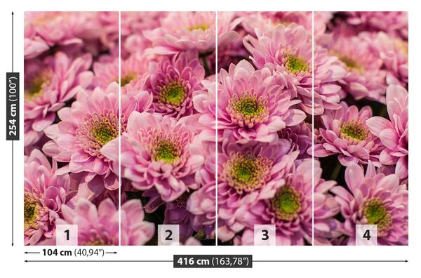 Fototapet roz Crizanteme