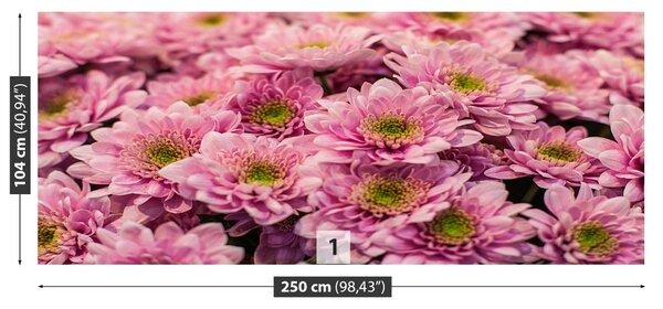 Fototapet roz Crizanteme