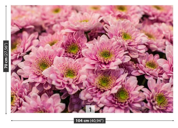 Fototapet roz Crizanteme