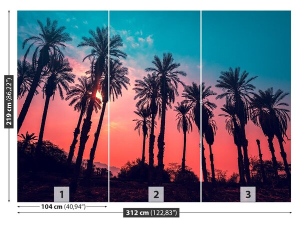 Fototapet Tropical Palm Copaci