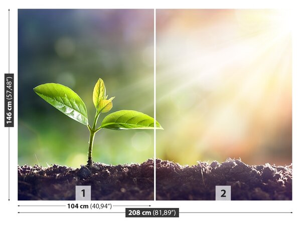 Fototapet Green Sprout
