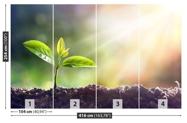 Fototapet Green Sprout