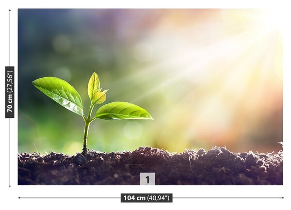 Fototapet Green Sprout