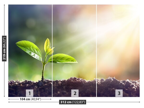 Fototapet Green Sprout