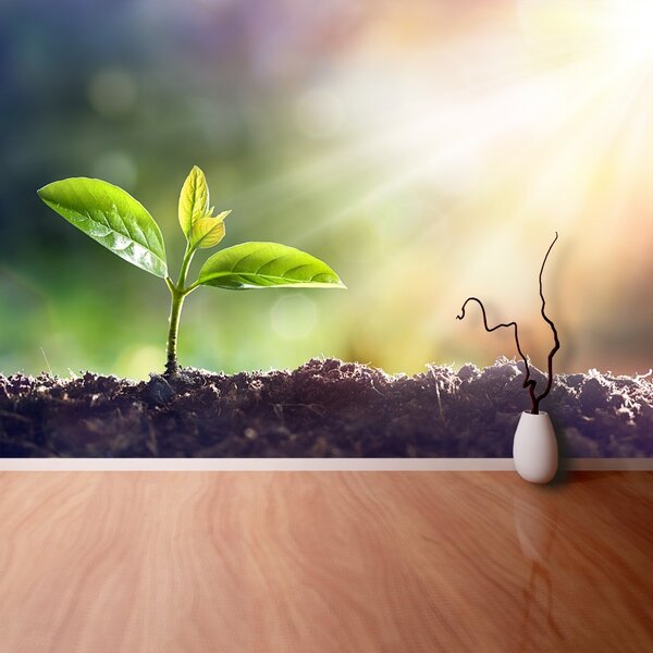 Fototapet Green Sprout