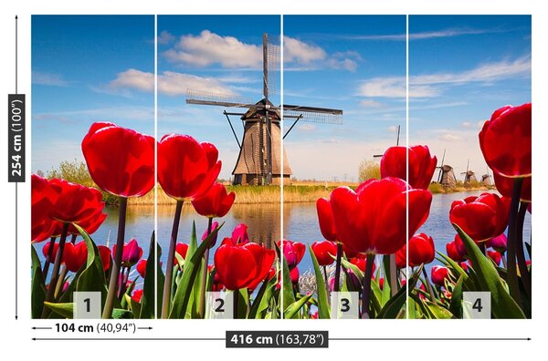 Fototapet Olanda Morile de vânt