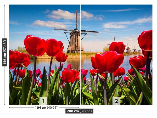 Fototapet Olanda Morile de vânt