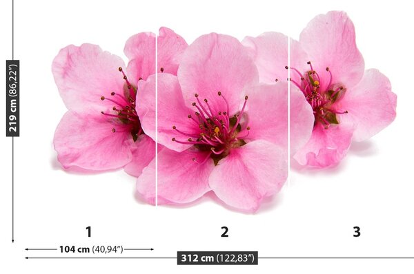 Fototapet Flori de cireș