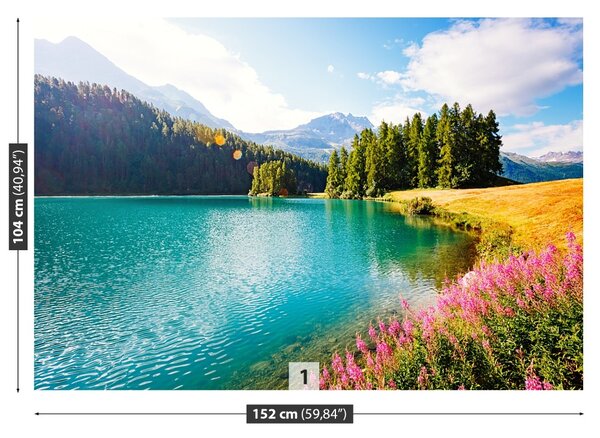 Fototapet Alpii elvețieni