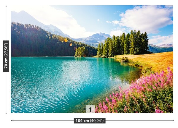 Fototapet Alpii elvețieni