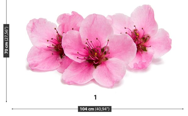 Fototapet Flori de cireș
