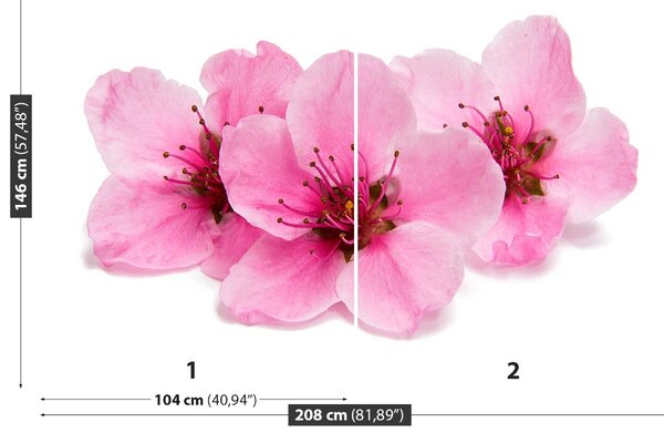 Fototapet Flori de cireș