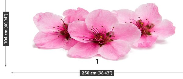 Fototapet Flori de cireș