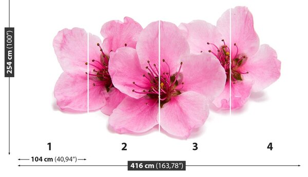 Fototapet Flori de cireș