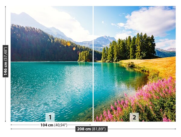Fototapet Alpii elvețieni