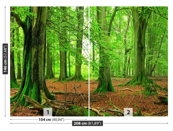 Fototapet pădure