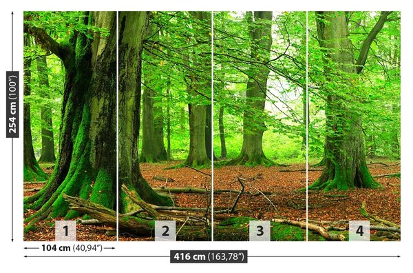 Fototapet pădure