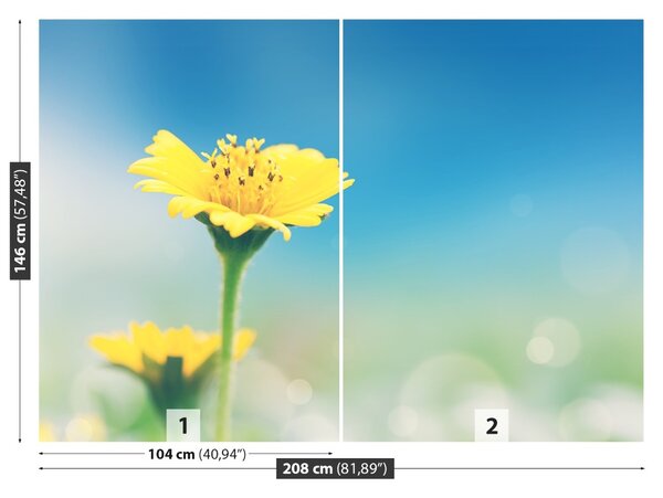 Fototapet galben Păpădie