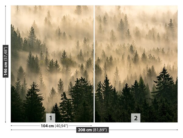Fototapet Misty Forest