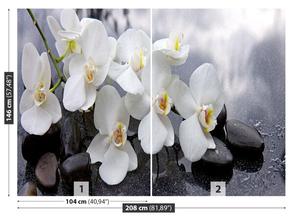 Fototapet Orchid Stones