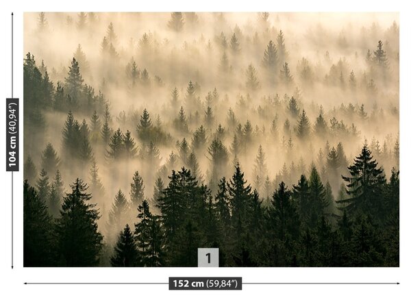 Fototapet Misty Forest