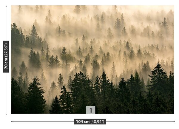 Fototapet Misty Forest