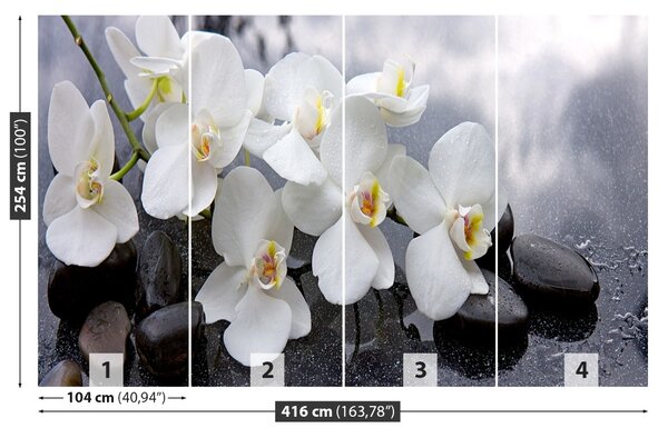 Fototapet Orchid Stones