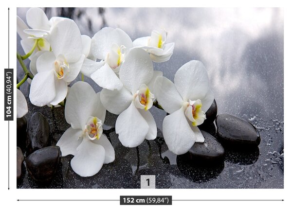 Fototapet Orchid Stones