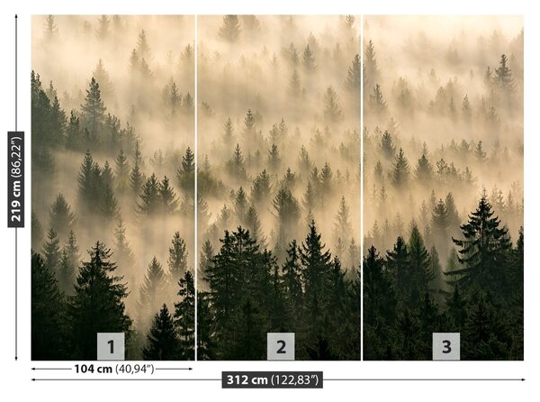 Fototapet Misty Forest