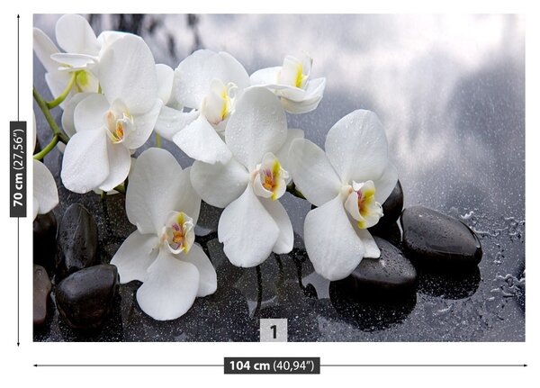 Fototapet Orchid Stones