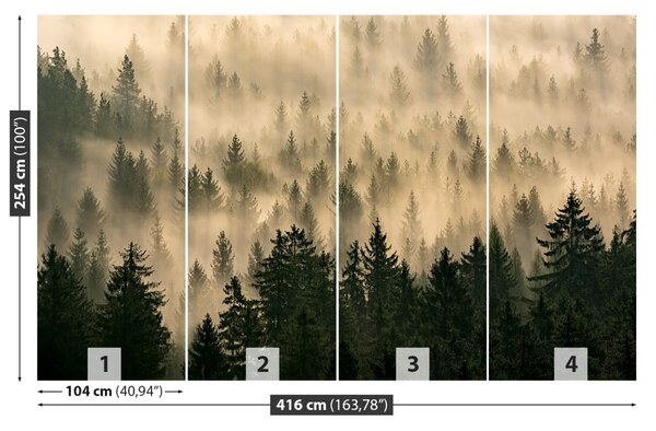 Fototapet Misty Forest