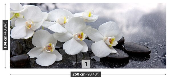 Fototapet Orchid Stones
