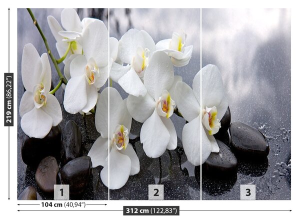 Fototapet Orchid Stones