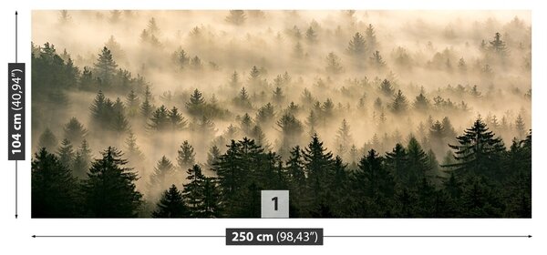 Fototapet Misty Forest