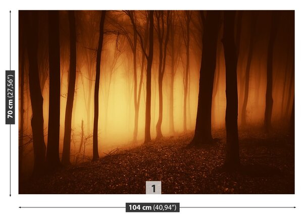 Fototapet O Forest Scary