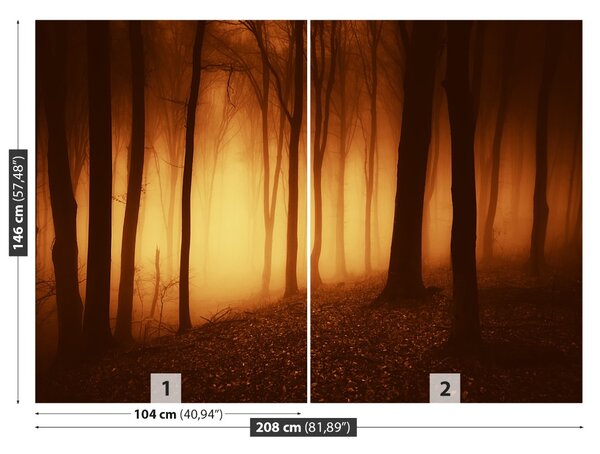 Fototapet O Forest Scary