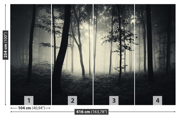 Fototapet Misty Forest