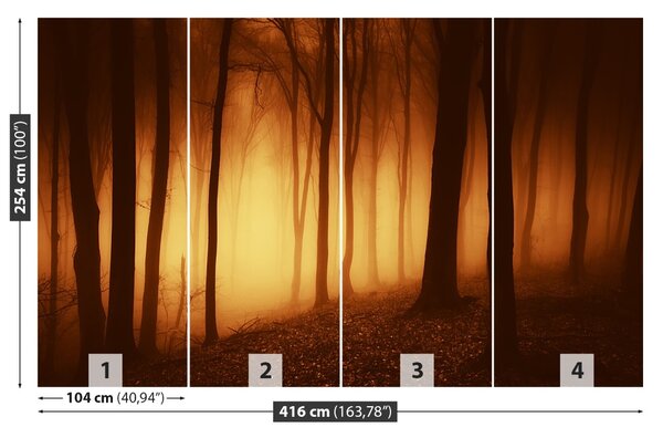 Fototapet O Forest Scary