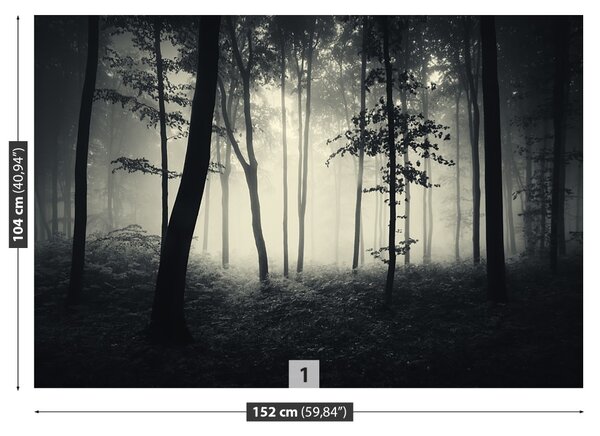 Fototapet Misty Forest