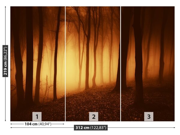Fototapet O Forest Scary