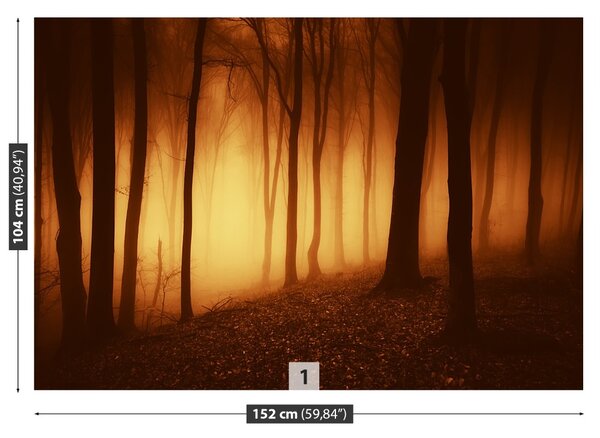 Fototapet O Forest Scary