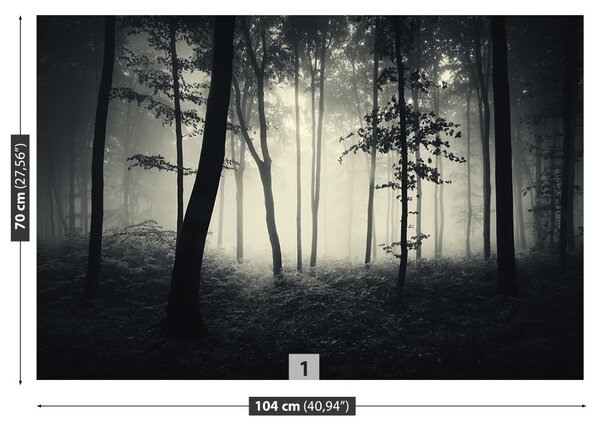 Fototapet Misty Forest