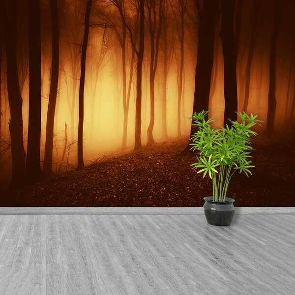 Fototapet O Forest Scary