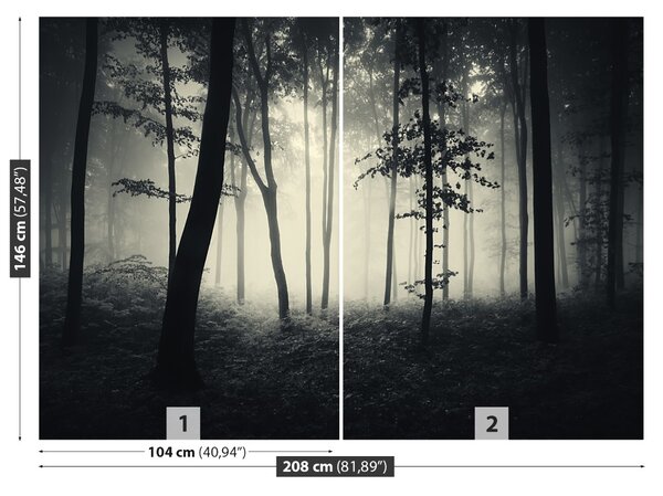 Fototapet Misty Forest