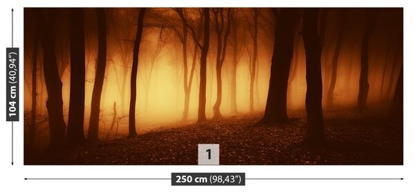 Fototapet O Forest Scary