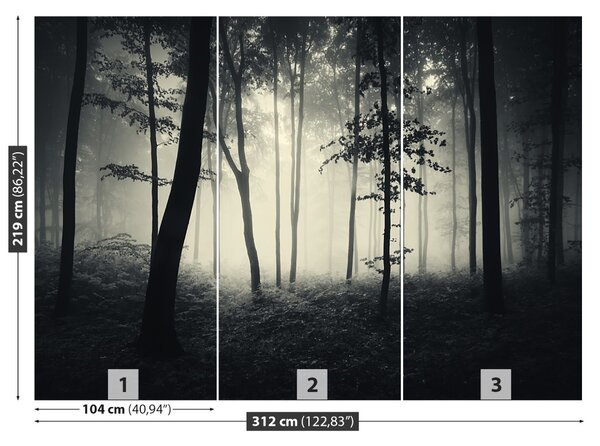 Fototapet Misty Forest
